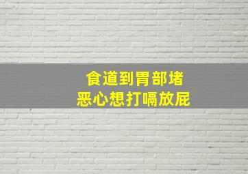 食道到胃部堵恶心想打嗝放屁