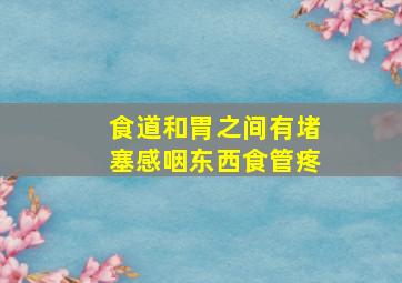 食道和胃之间有堵塞感咽东西食管疼