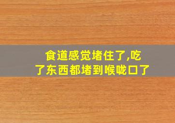 食道感觉堵住了,吃了东西都堵到喉咙口了