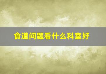 食道问题看什么科室好