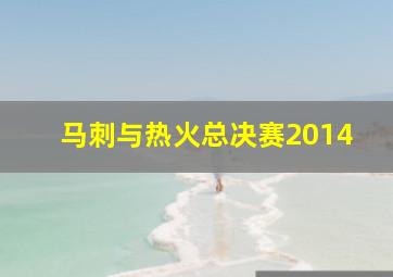 马刺与热火总决赛2014