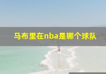 马布里在nba是哪个球队