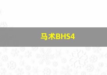 马术BHS4