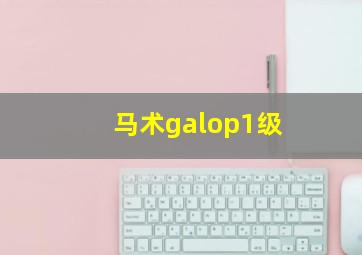 马术galop1级