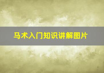 马术入门知识讲解图片