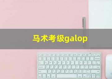 马术考级galop