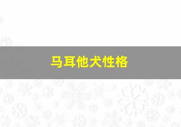 马耳他犬性格