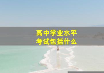 高中学业水平考试包括什么