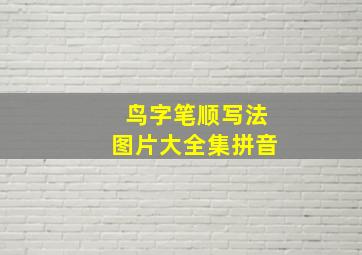 鸟字笔顺写法图片大全集拼音