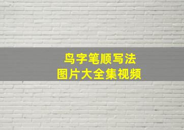 鸟字笔顺写法图片大全集视频