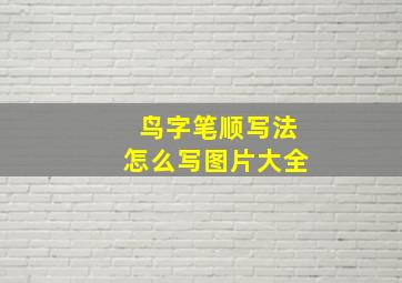 鸟字笔顺写法怎么写图片大全