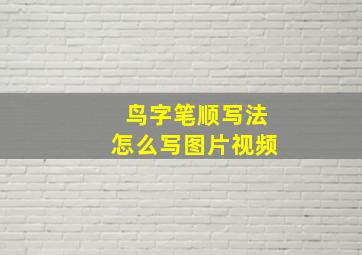 鸟字笔顺写法怎么写图片视频