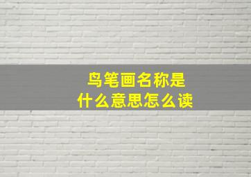 鸟笔画名称是什么意思怎么读