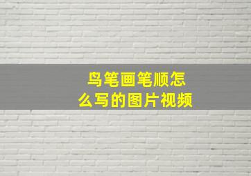 鸟笔画笔顺怎么写的图片视频