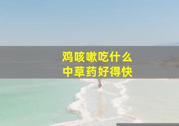 鸡咳嗽吃什么中草药好得快