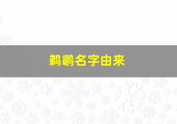 鹈鹕名字由来