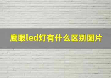 鹰眼led灯有什么区别图片