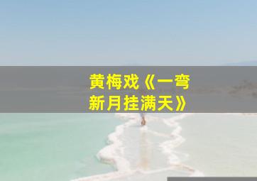 黄梅戏《一弯新月挂满天》