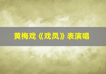 黄梅戏《戏凤》表演唱