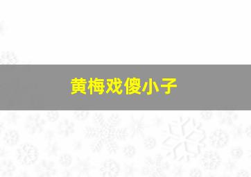 黄梅戏傻小子