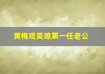 黄梅戏吴琼第一任老公