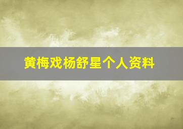 黄梅戏杨舒星个人资料