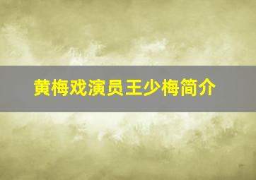 黄梅戏演员王少梅简介