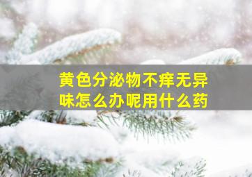 黄色分泌物不痒无异味怎么办呢用什么药