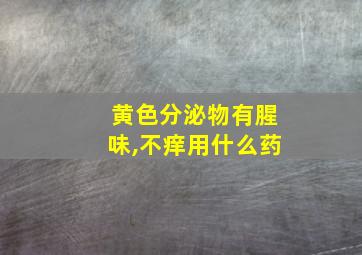 黄色分泌物有腥味,不痒用什么药