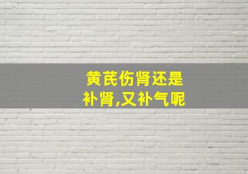 黄芪伤肾还是补肾,又补气呢