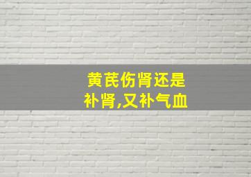 黄芪伤肾还是补肾,又补气血