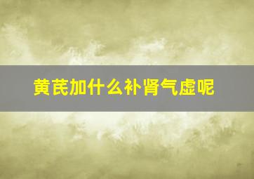 黄芪加什么补肾气虚呢