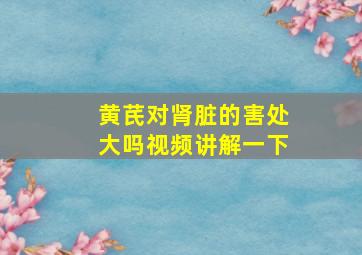 黄芪对肾脏的害处大吗视频讲解一下