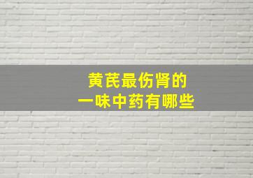 黄芪最伤肾的一味中药有哪些