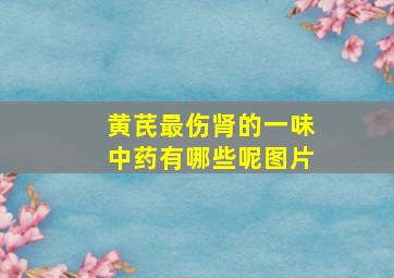 黄芪最伤肾的一味中药有哪些呢图片