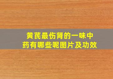 黄芪最伤肾的一味中药有哪些呢图片及功效