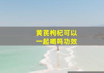 黄芪枸杞可以一起喝吗功效