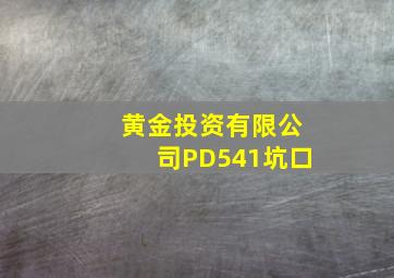 黄金投资有限公司PD541坑口