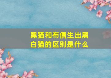 黑猫和布偶生出黑白猫的区别是什么