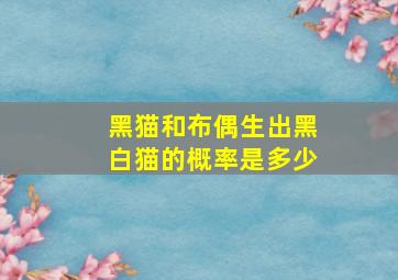 黑猫和布偶生出黑白猫的概率是多少