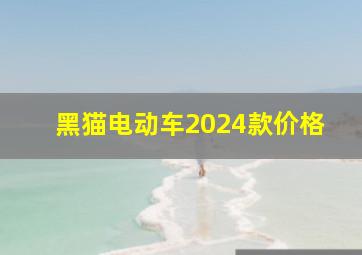 黑猫电动车2024款价格