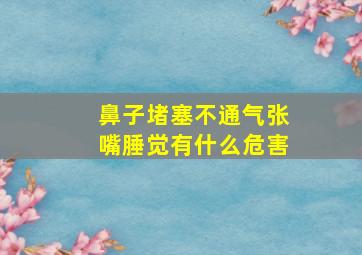 鼻子堵塞不通气张嘴腄觉有什么危害