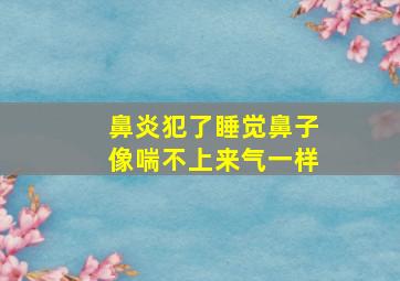 鼻炎犯了睡觉鼻子像喘不上来气一样